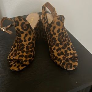 Cheetah booties